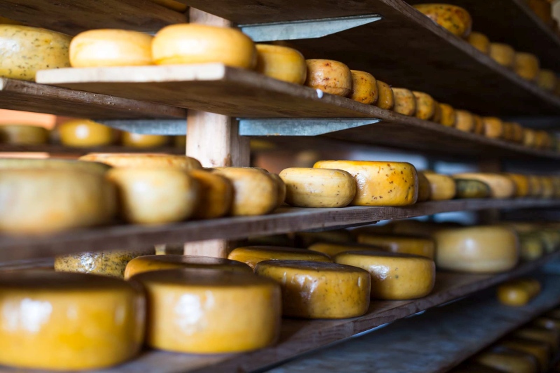 Stacked Gouda Wheels